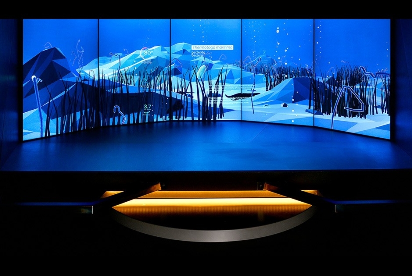 Con miopía - en Micropia