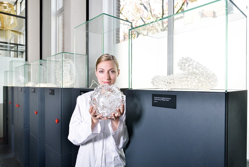 Con miopía - en Micropia