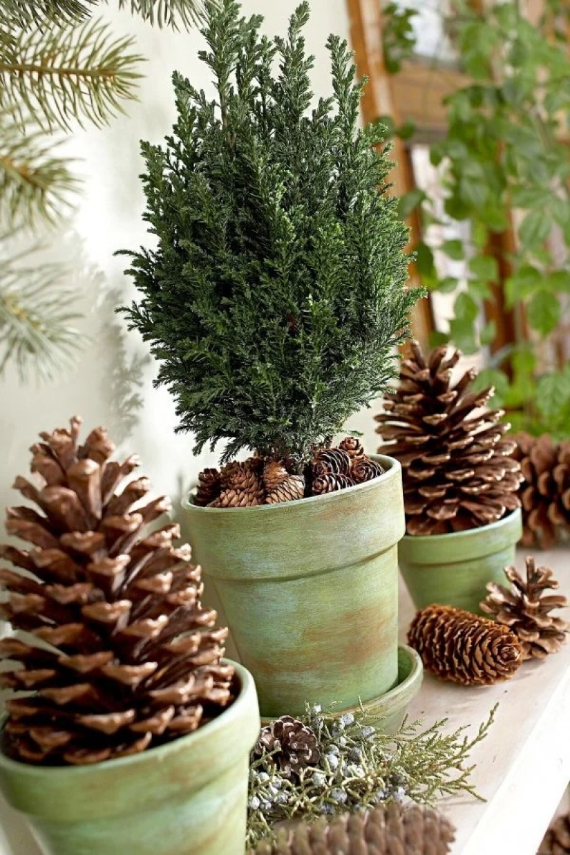Coolest ideas Christmas decorations from cones and twigs