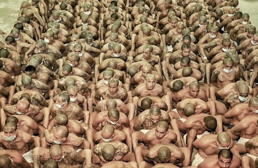 Coronavirus against gangs: in the prisons of El Salvador, they tightened the regime, spitting on quarantine