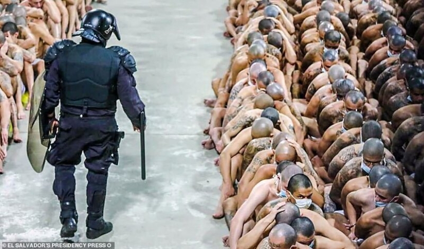 Coronavirus against gangs: in the prisons of El Salvador, they tightened the regime, spitting on quarantine