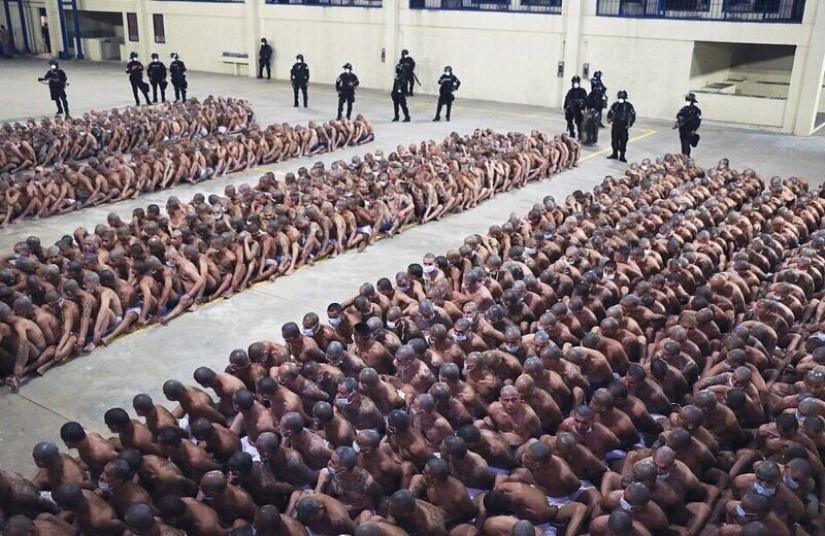 Coronavirus contra pandillas: en las cárceles de El Salvador, endurecieron el régimen, escupiendo cuarentena Coronavirus contra pandillas: en las cárceles de El Salvador, endurecieron el régimen, escupiendo cuarentena