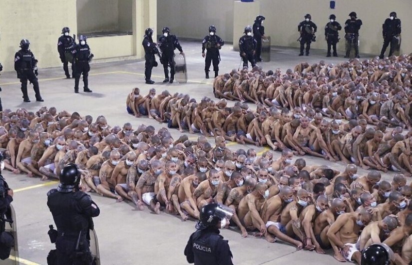 Coronavirus contra pandillas: en las cárceles de El Salvador, endurecieron el régimen, escupiendo cuarentena Coronavirus contra pandillas: en las cárceles de El Salvador, endurecieron el régimen, escupiendo cuarentena