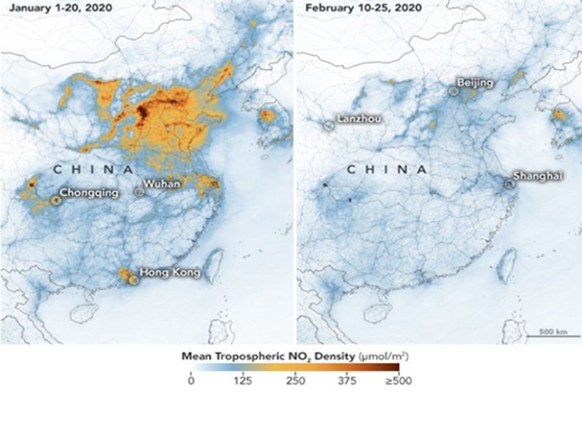 Coronavirus for good! The extraordinary impact of quarantine on nature ...