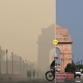 ¡Coronavirus para siempre! El extraordinario impacto de la cuarentena en la naturaleza...