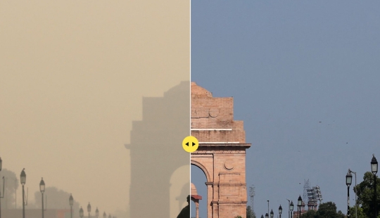 ¡Coronavirus para siempre! El extraordinario impacto de la cuarentena en la naturaleza...