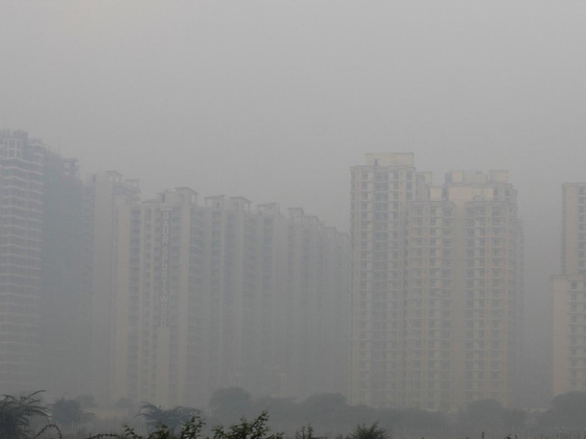 ¡Coronavirus para siempre! El extraordinario impacto de la cuarentena en la naturaleza...