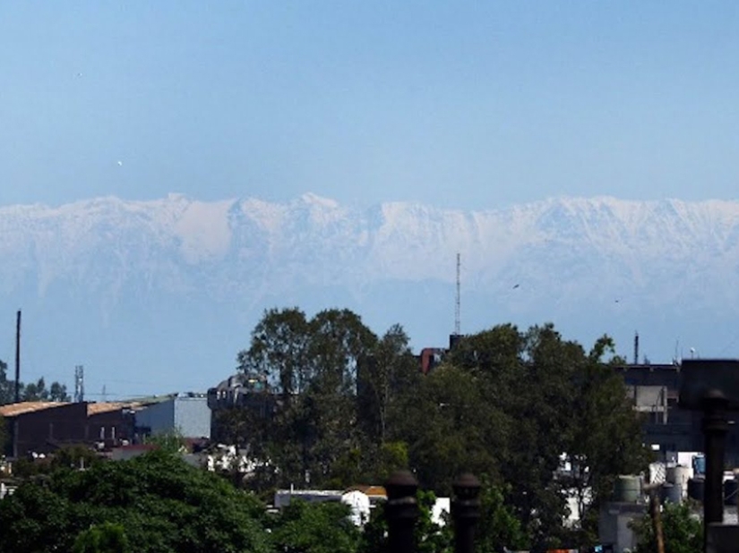 ¡Coronavirus para siempre! El extraordinario impacto de la cuarentena en la naturaleza...