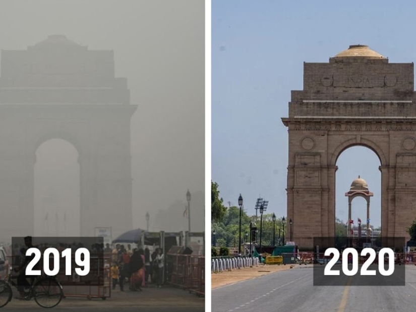 ¡Coronavirus para siempre! El extraordinario impacto de la cuarentena en la naturaleza...