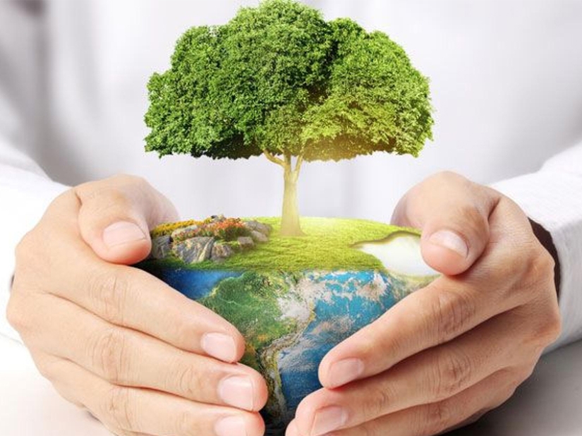 ¡Coronavirus para siempre! El extraordinario impacto de la cuarentena en la naturaleza...