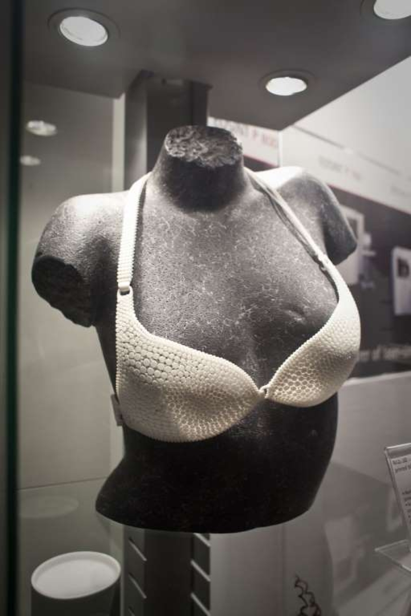 Cosas increíbles impresas en una impresora 3D