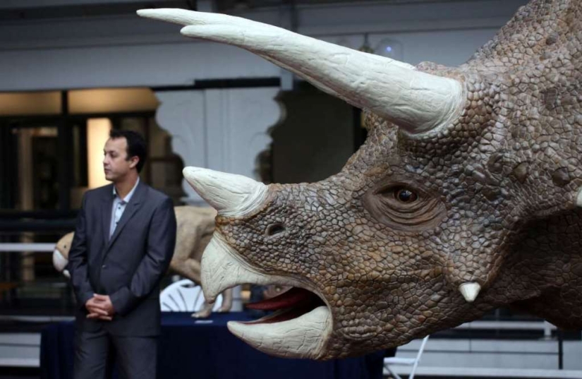 Cosas increíbles impresas en una impresora 3D