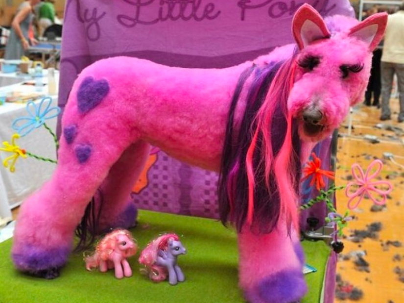 Creative haircuts for dogs: 25 photos Creative haircuts for dogs: 25 photos