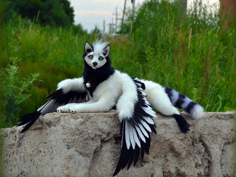 Creative haircuts for dogs: 25 photos Creative haircuts for dogs: 25 photos