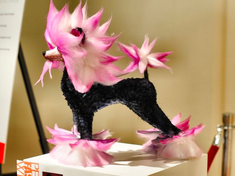 Creative haircuts for dogs: 25 photos Creative haircuts for dogs: 25 photos