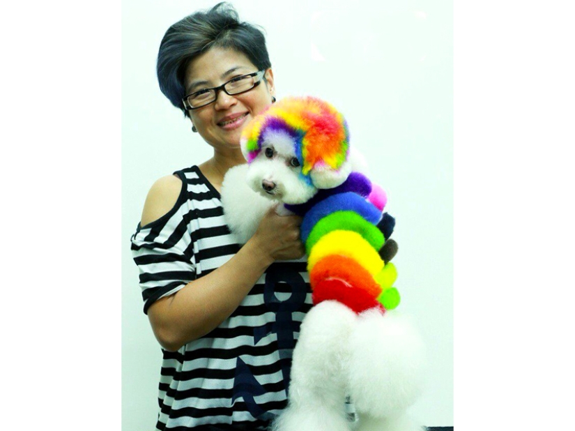 Creative haircuts for dogs: 25 photos Creative haircuts for dogs: 25 photos