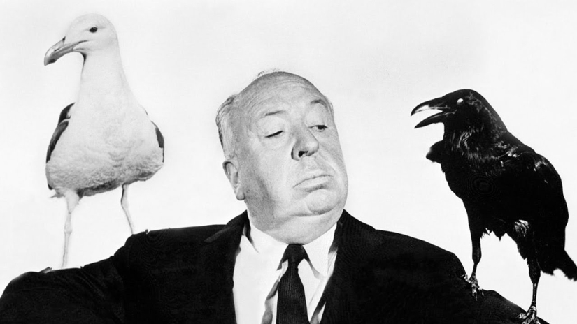 Cuando el horror clásico cobra vida: la inexplicable invasión de pájaros negros en Texas