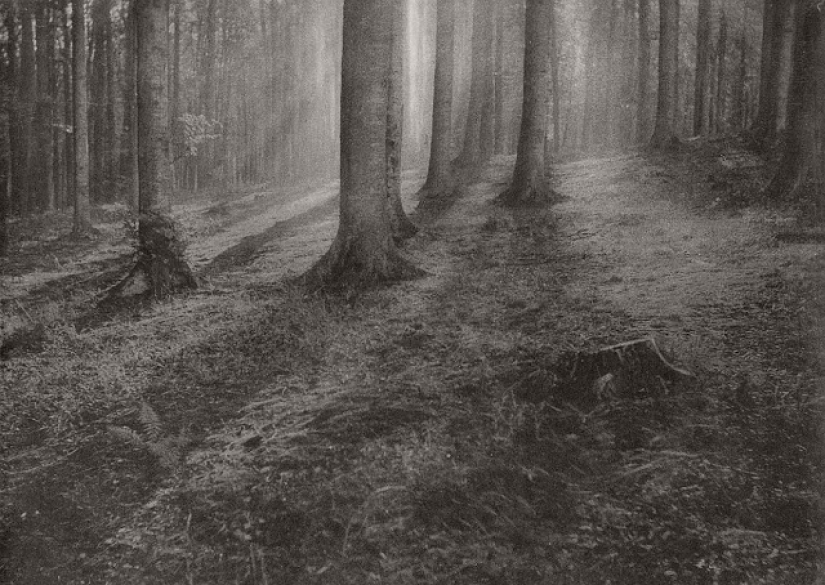 Cuando las fotos parecían pinturas: 27 cuadros de Leonard Misonne Cuando las fotos parecían pinturas: 27 cuadros de Leonard Misonne