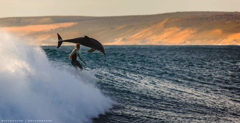 Cuando realmente quieres ir al Baikal