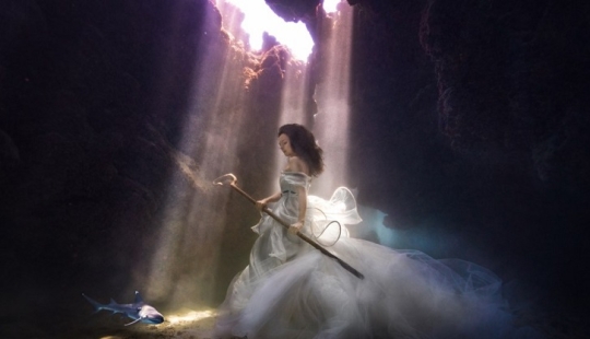 Cuento de hadas submarino con tiburones Cuento de hadas submarino con tiburones