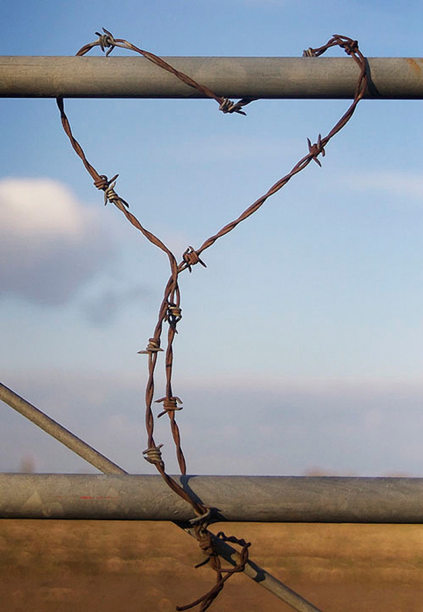 Día de San Valentín: Corazones, corazones por todas partes!