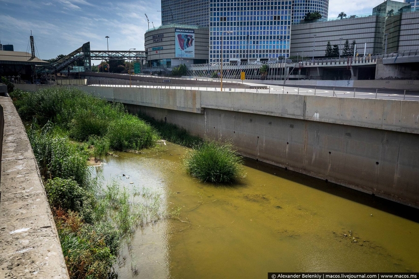 Día del Juicio para todos los judíos Día del Juicio para todos los judíos