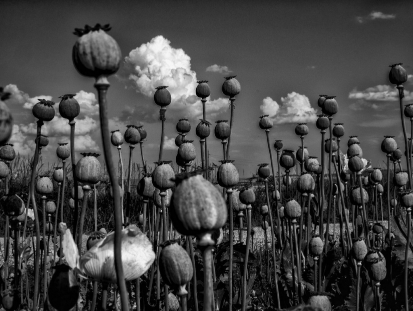 Día inaugural en blanco y negro: obras maestras del concurso Black & White International Award Rome Día inaugural en blanco y negro: obras maestras del concurso Black & White International Award Rome