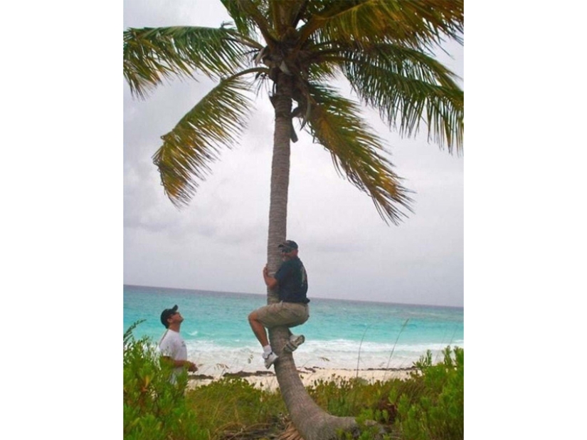 Dads on vacation: 20 funny photos