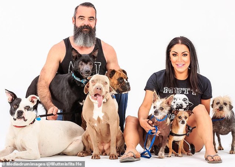 Dando vida a los marginados: una familia de Oklahoma salvó a más de 300 perros lisiados y enfermos