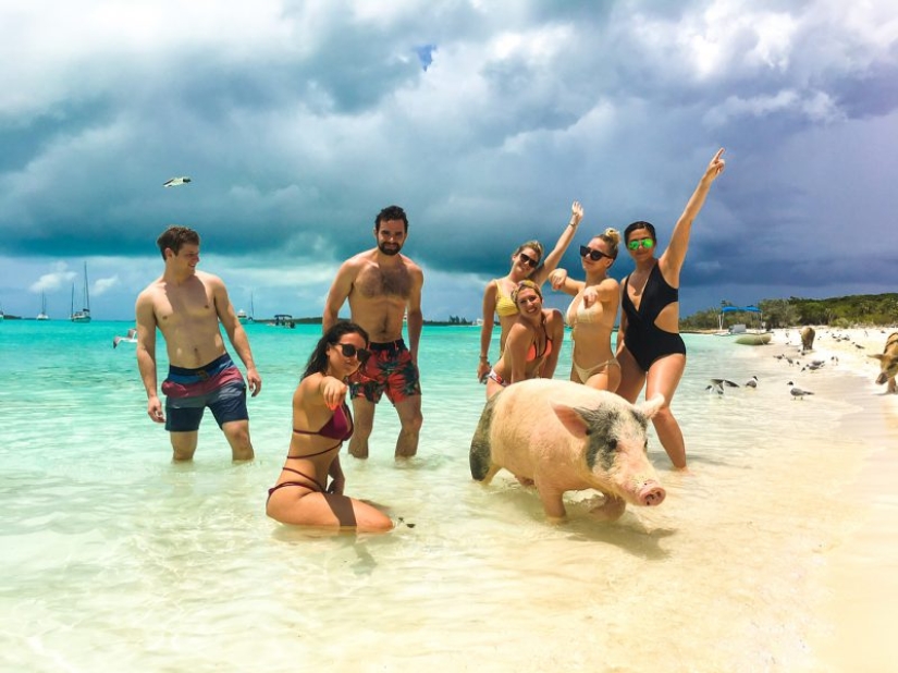 "Date prisa para vivir, morir joven!!!": lo divertido son las principales playboys Instagram