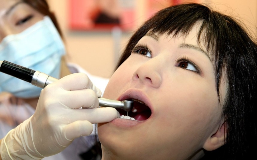 Datos extraños y sorprendentes sobre Japón Datos extraños y sorprendentes sobre Japón