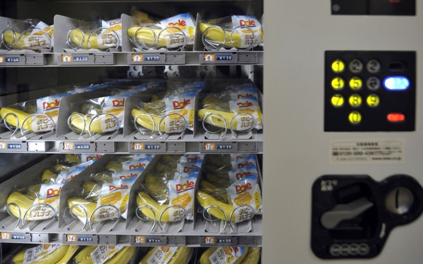 Datos extraños y sorprendentes sobre Japón Datos extraños y sorprendentes sobre Japón