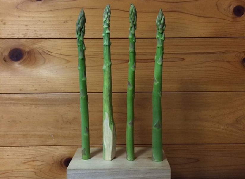 ¿De qué están hechos estos productos? ¡No lo vas a creer!