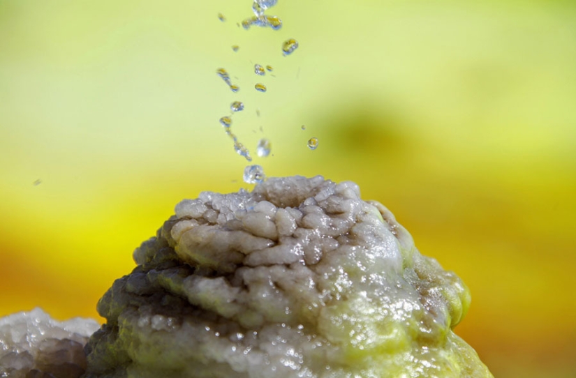 Death Valley in Ethiopia: what does the most lifeless place on the planet look like