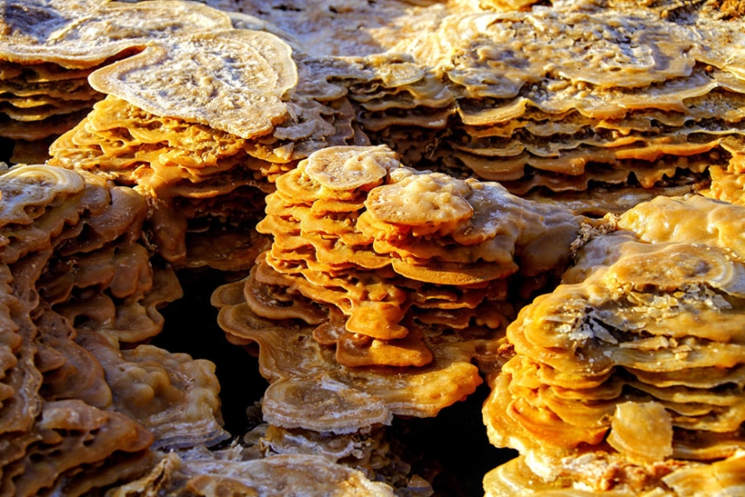 Death Valley in Ethiopia: what does the most lifeless place on the planet look like