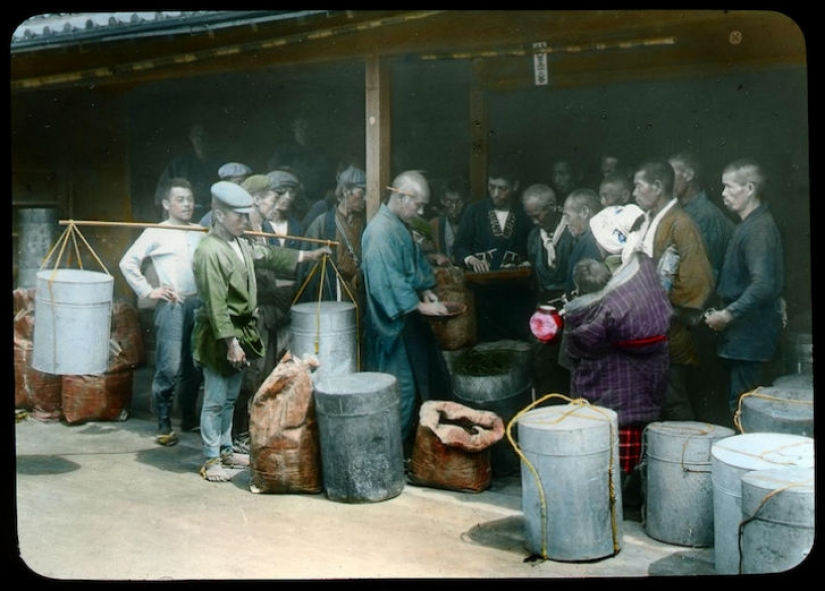 Del arbusto al consumidor: cómo se produjo la producción de té en Japón a principios del siglo XX