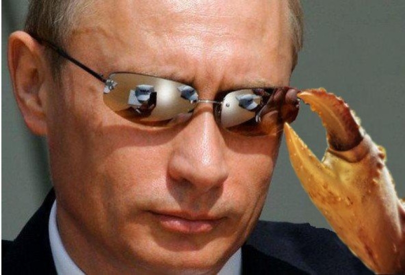 Del "Cangrejo Putin" a "Pyni": se llevará a cabo una exposición de memes con el presidente en Moscú Del "Cangrejo Putin" a "Pyni": se llevará a cabo una exposición de memes con el presidente en Moscú