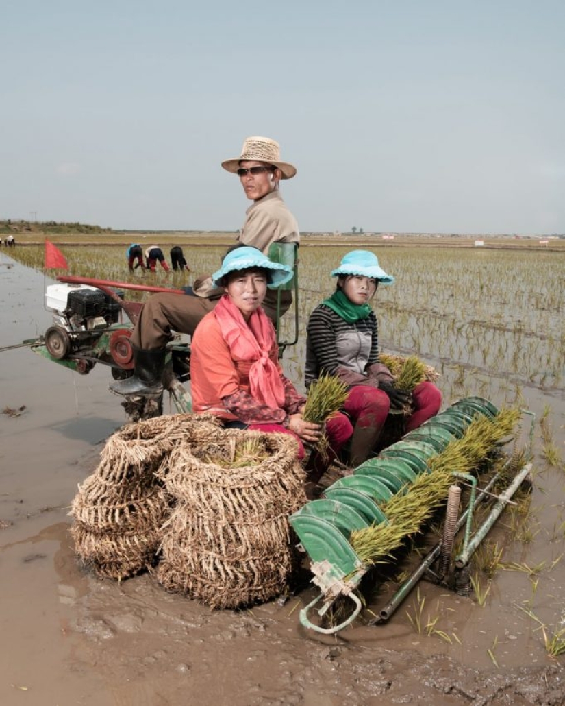 Dentro de Corea del Norte: personas en el trabajo, el ocio y el juego, en imágenes