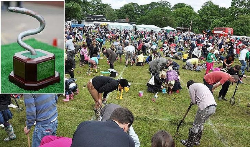 Deportes extraños que se han apoderado del mundo Deportes extraños que se han apoderado del mundo