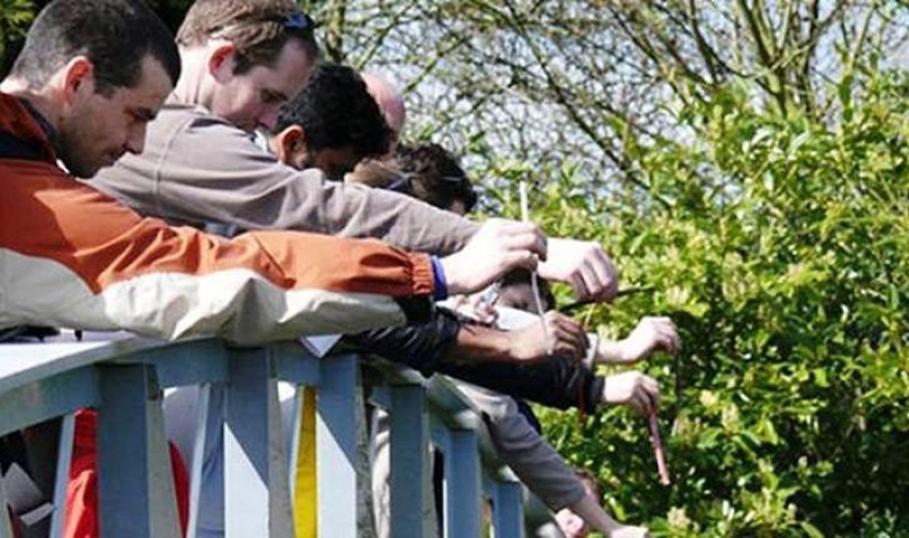 Deportes extraños que se han apoderado del mundo Deportes extraños que se han apoderado del mundo