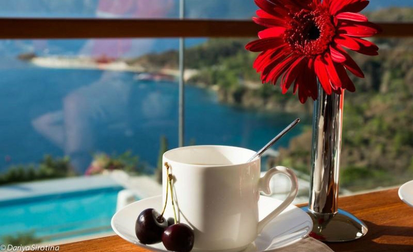 Desayunos de viaje Desayunos de viaje