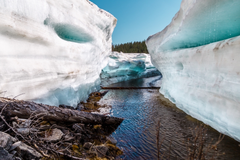 Después de ver esto, querrás ir a Yakutia: un paseo por el hielo en el caluroso verano
