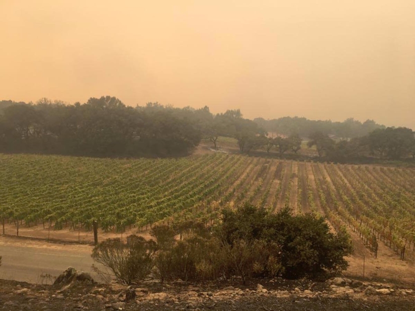 Devastation, ash and smoke: apocalyptic photos of California before and after wildfires Devastation, ash and smoke: apocalyptic photos of California before and after wildfires