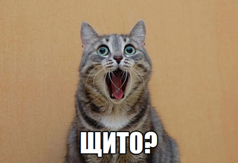 Devuélveme mi 2008: ¿fue realmente hace 10 años? Devuélveme mi 2008: ¿fue realmente hace 10 años?