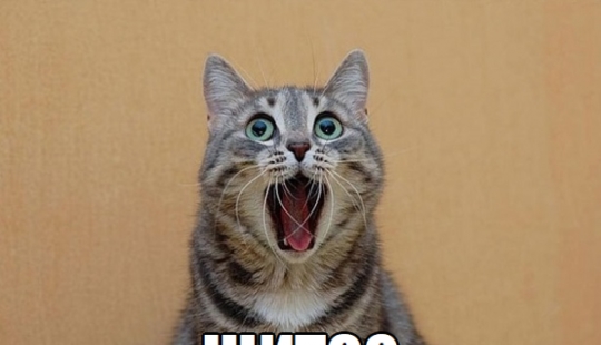 Devuélveme mi 2008: ¿fue realmente hace 10 años?