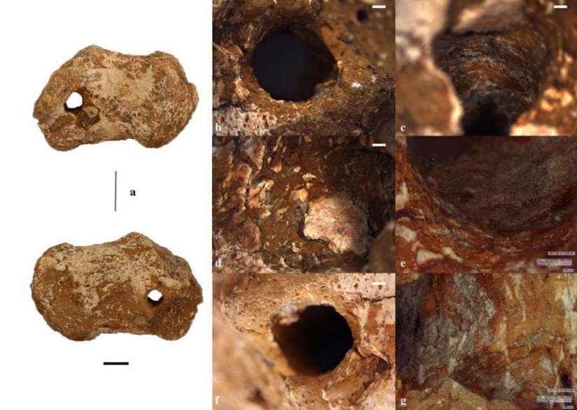 Died like Jesus Christ: Italian scientists have discovered the skeleton of a crucified man