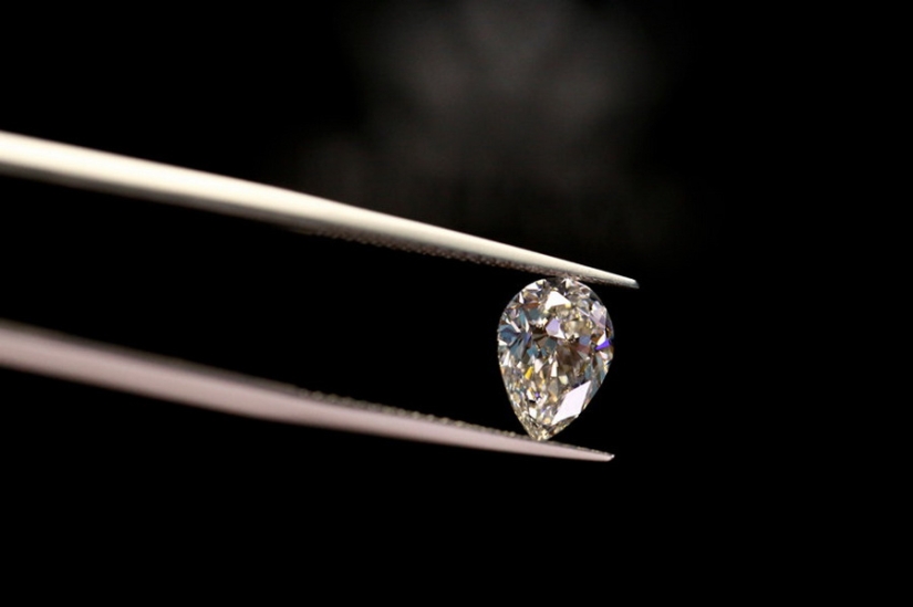 Diferentes países, diferentes reglas: cómo no ir a la cárcel por llevarse recuerdos