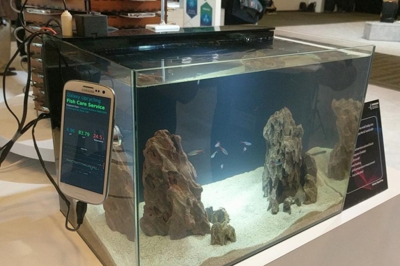 Dinero de teléfonos móviles antiguos: Samsung ha construido una granja minera a partir del Galaxy S5