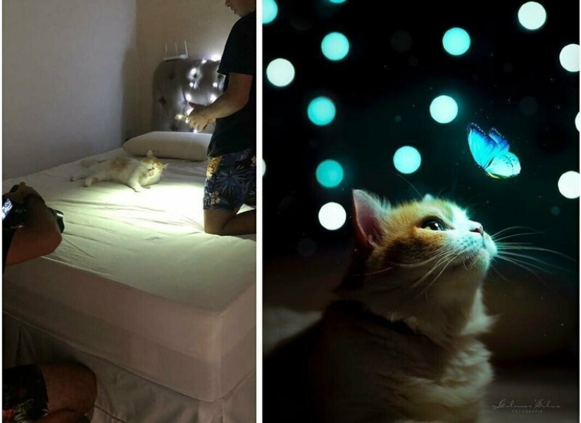 Disclosure: Gilmar Silva continues to reveal secrets of professional photography