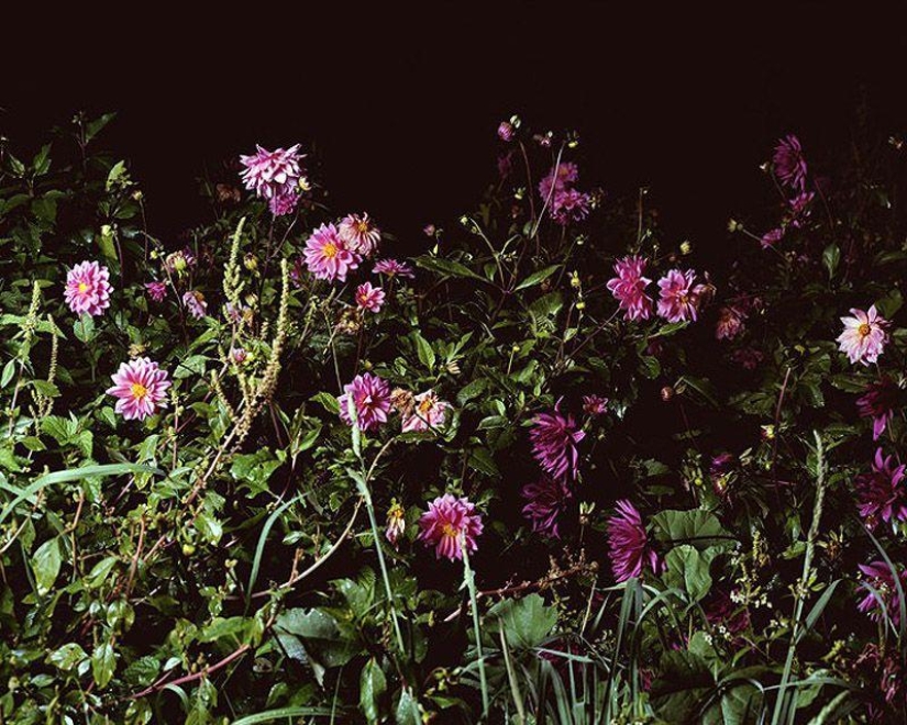 Discoteca rural en Español